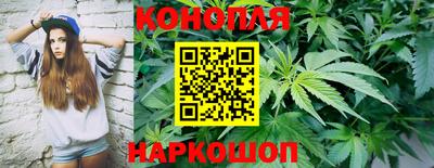 тгк Краснодар