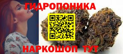 тгк Краснодар