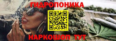 тгк Краснодар