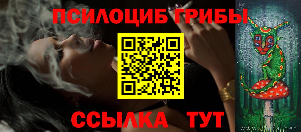 Псилоцибиновые грибы Psilocybine cubensis Ленинск-Кузнецкий