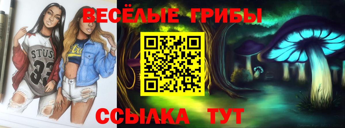 наркотики  Псилоцибиновые грибы ЛСД  Вход с VPN  Ленинск-Кузнецкий 